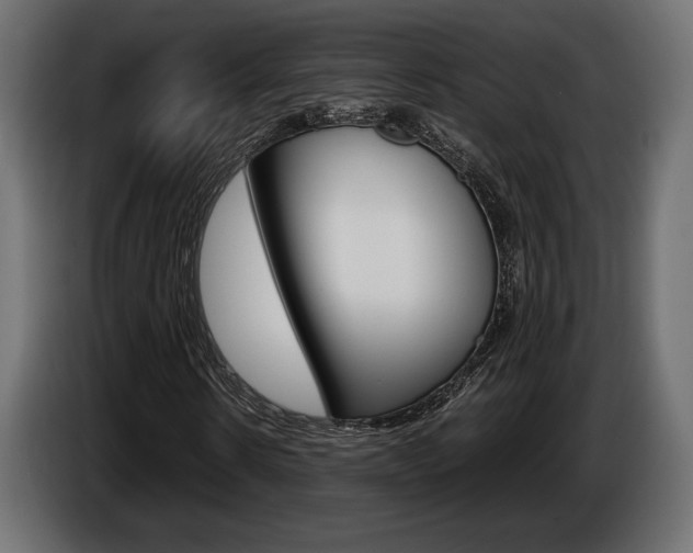 X0000086960914200704161120
