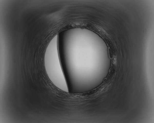 X0000086960915200704161120