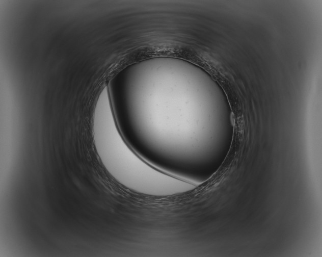 X0000086960916200704161120