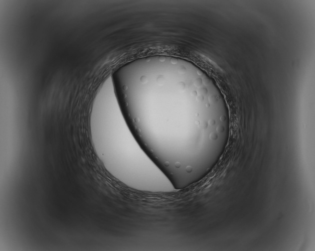 X0000086960917200704161120