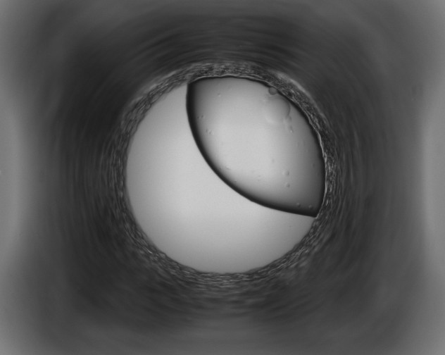 X0000086960919200704161120