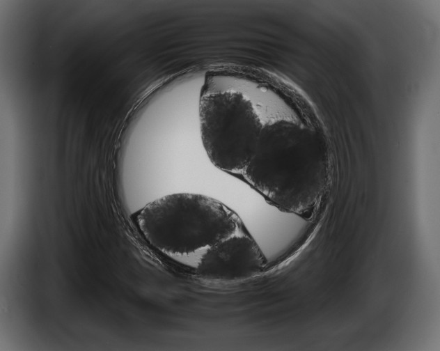X0000086960921200704161120