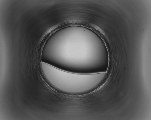 X0000086960922200704161120