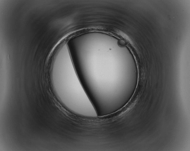 X0000086960923200704161120