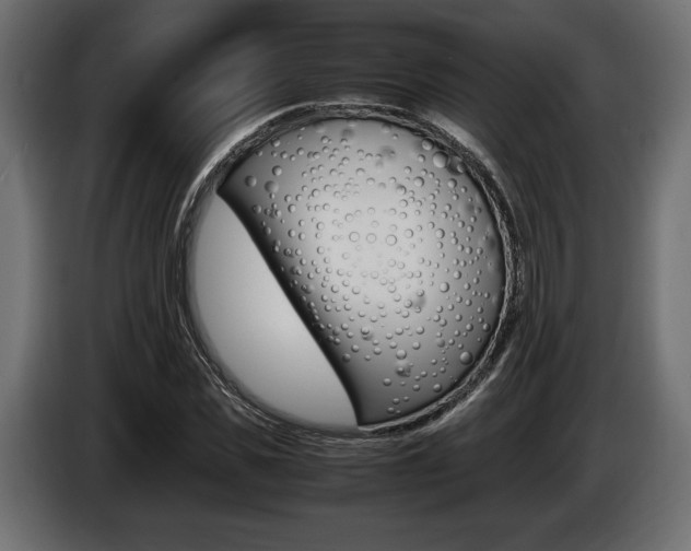 X0000086960925200704161120