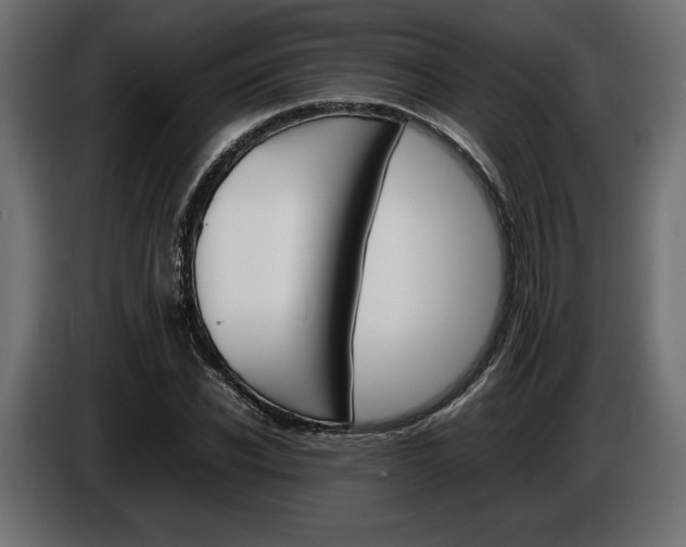 X0000086960926200704161120