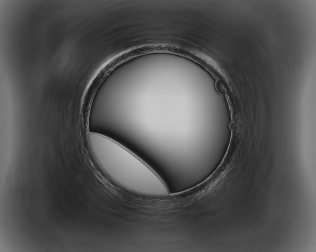 X0000086960927200704161120