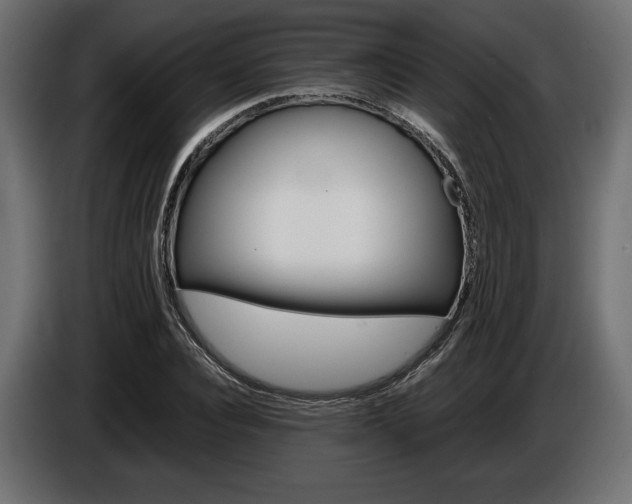 X0000086960928200704161120
