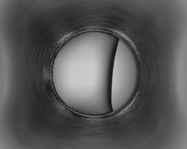 X0000086960929200704161120