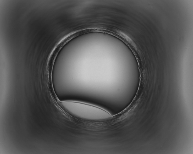 X0000086960931200704161120