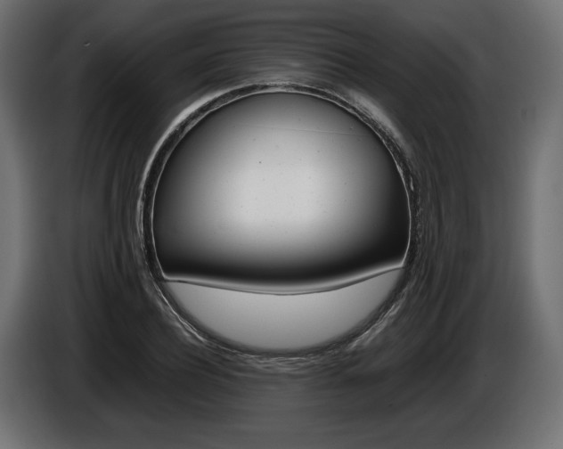 X0000086960932200704161120