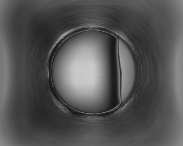 X0000086960934200704161120