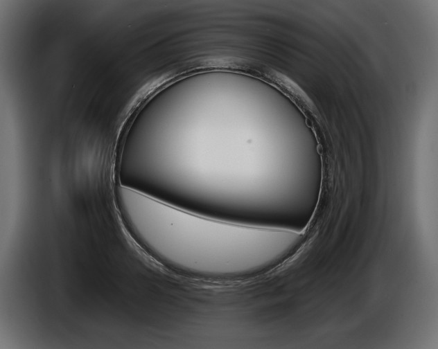 X0000086960938200704161121