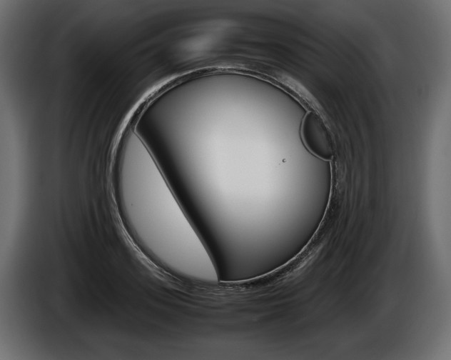X0000086960939200704161121