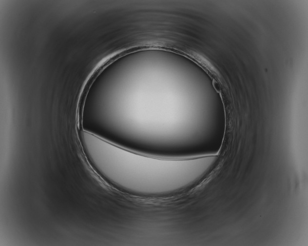 X0000086960940200704161121