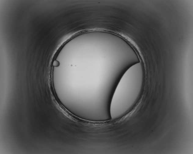 X0000086960941200704161121