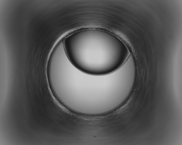 X0000086960942200704161121
