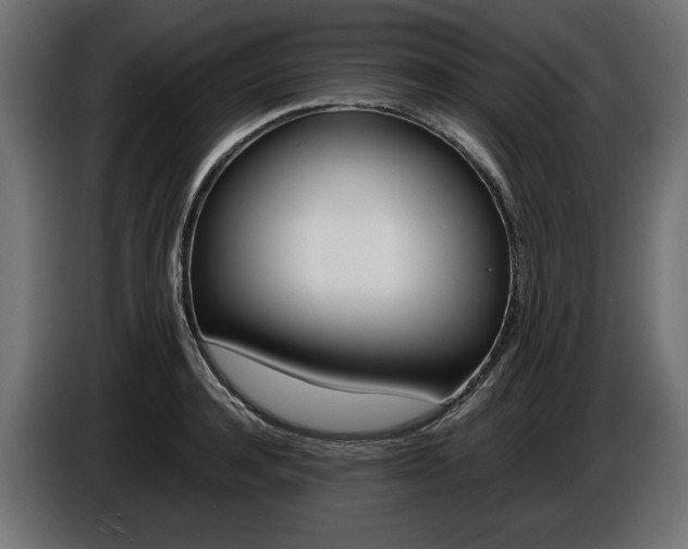 X0000086960944200704161121
