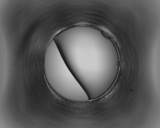 X0000086960945200704161121