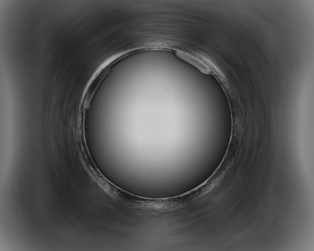 X0000086960948200704161121