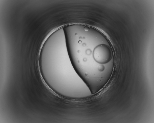 X0000086960949200704161121