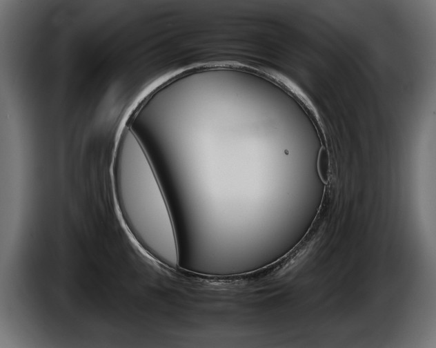 X0000086960951200704161121