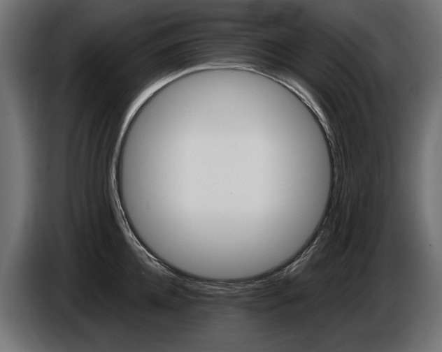 X0000086960952200704161121