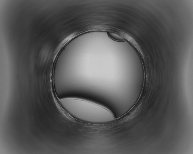 X0000086960954200704161121