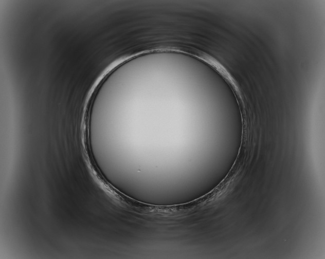 X0000086960955200704161121