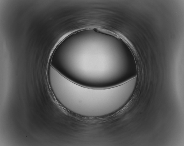 X0000086960956200704161121