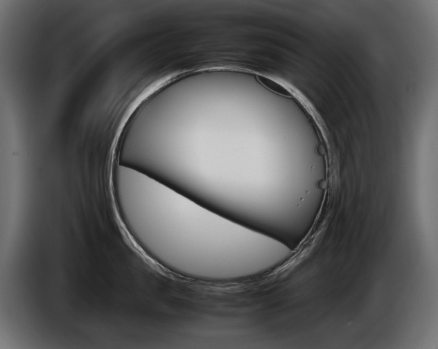 X0000086960957200704161121