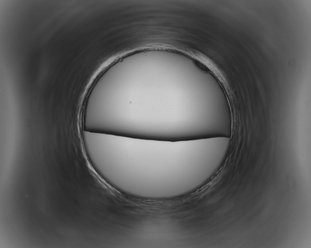 X0000086960958200704161121