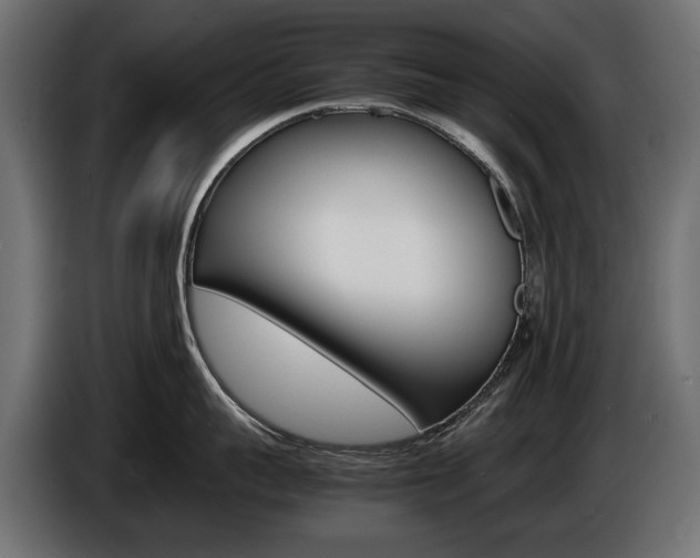 X0000086960959200704161121
