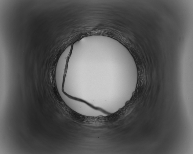 X0000086960962200704161120