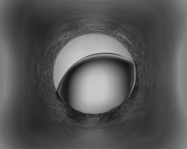 X0000086960965200704161120