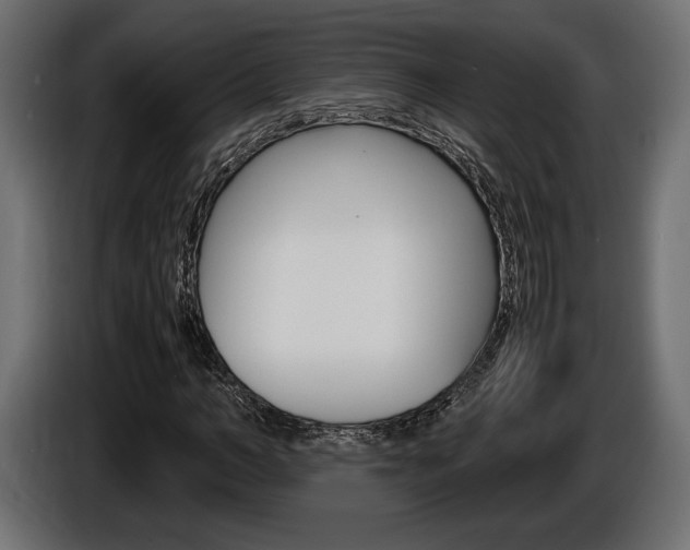X0000086960966200704161120