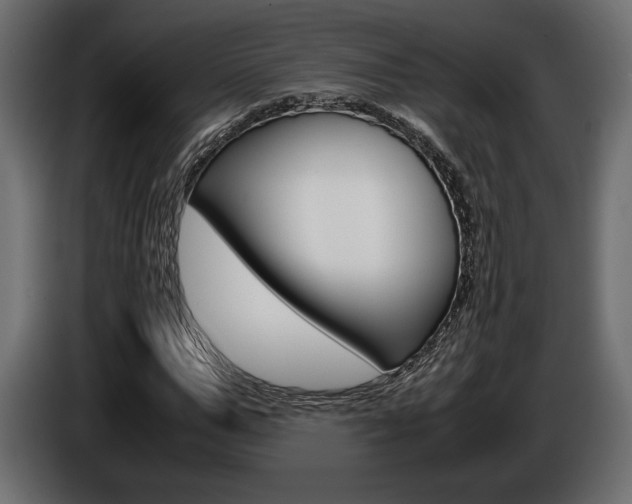 X0000086960967200704161120