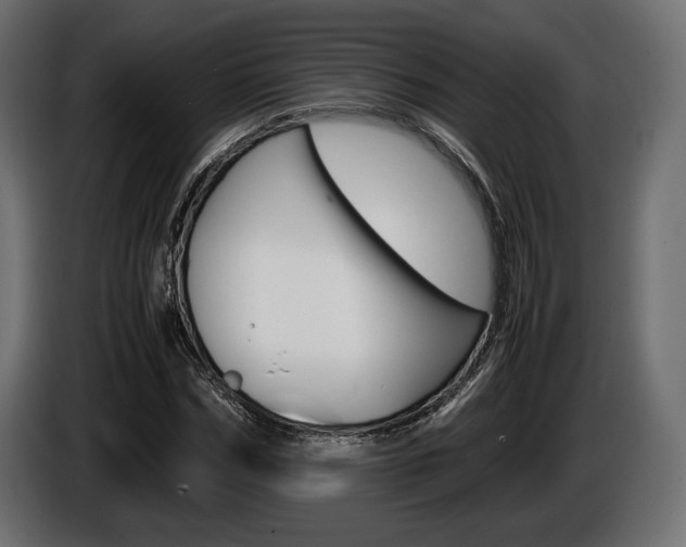 X0000086960970200704161120