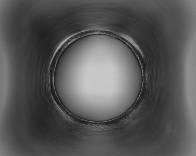 X0000086960972200704161120