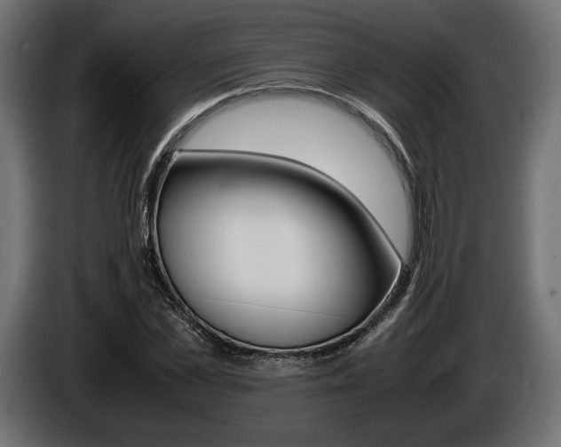 X0000086960973200704161120