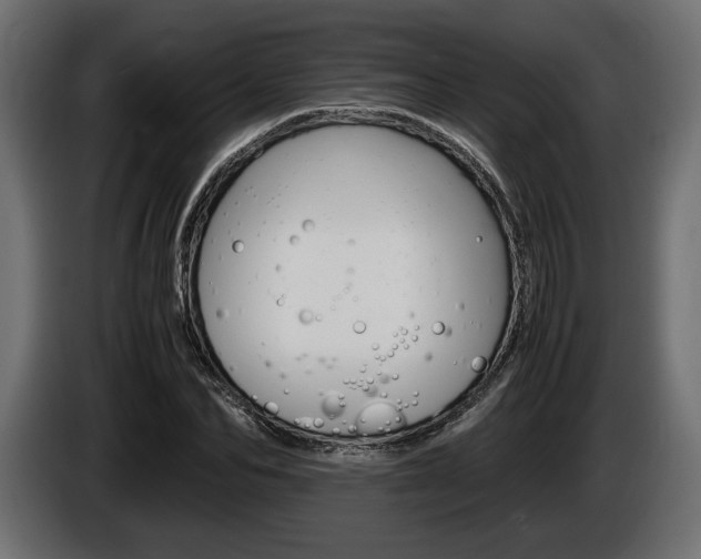 X0000086960974200704161120