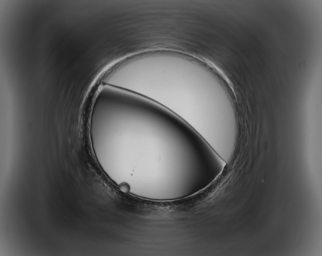 X0000086960975200704161120