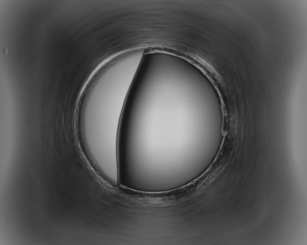 X0000086960976200704161120