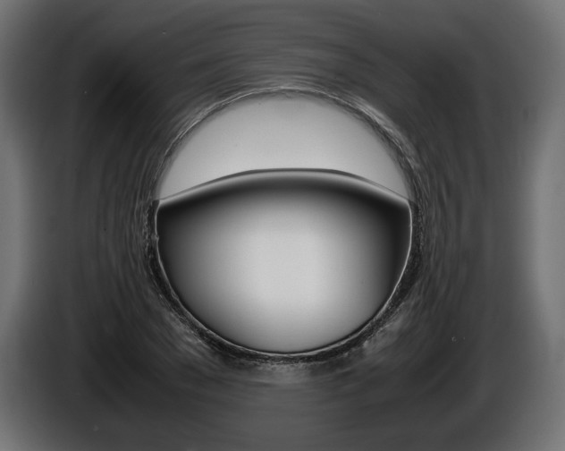 X0000086960977200704161120