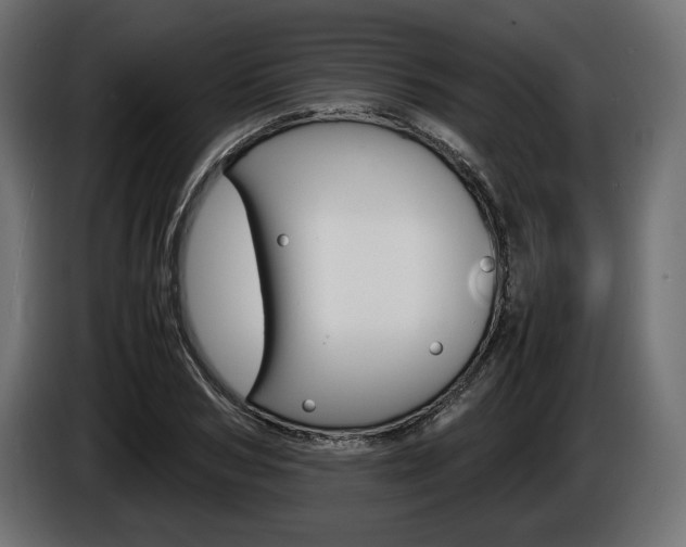 X0000086960978200704161120