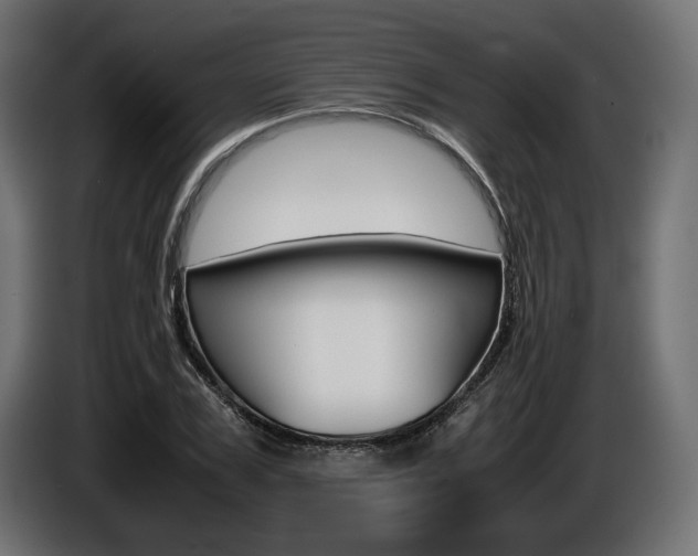 X0000086960979200704161120