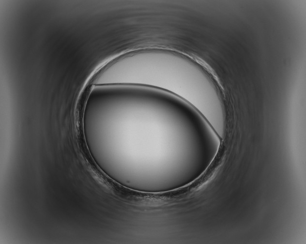 X0000086960981200704161120