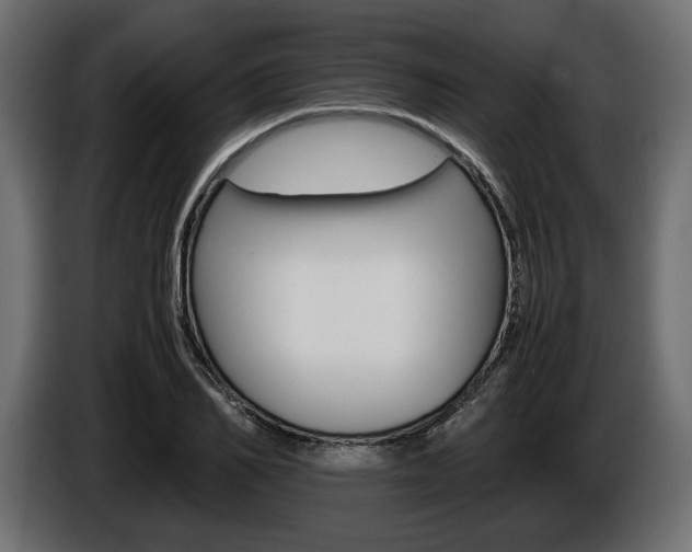X0000086960982200704161120