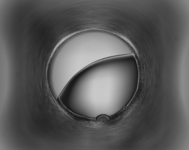X0000086960983200704161120