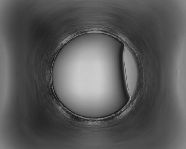 X0000086960985200704161120